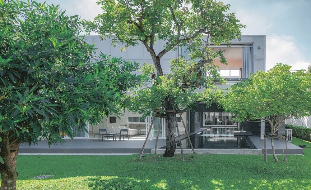 
Rừng cây xanh mượt bao quanh căn nhà, giúp cho không khí bên trong ngôi nhà luôn thoáng mát và trong lành
