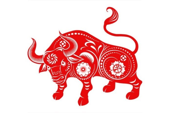 Phong thủy của người tuổi Sửu 