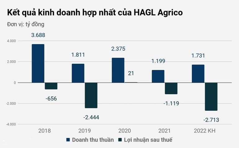 
Kết quả kinh doanh hợp nhất của HAGL Agrico
