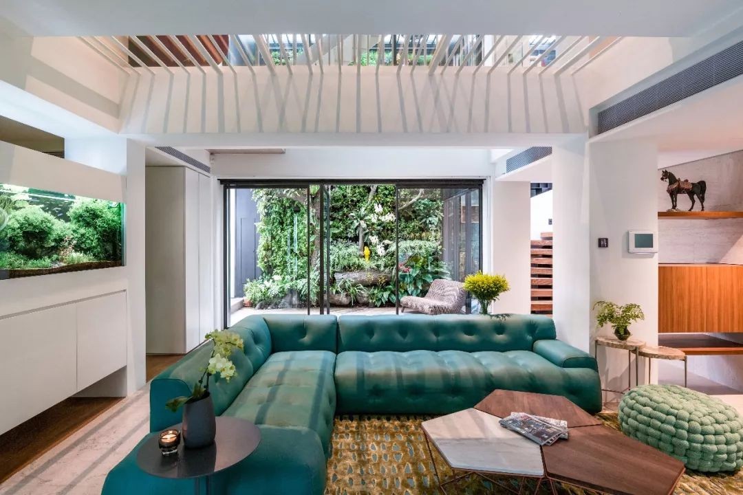 
Phòng khách hiện đại, lịch sự điểm nhấn là bộ ghế sofa màu xanh&nbsp;
