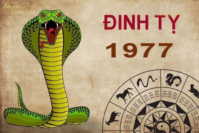 
Tìm hiểu đặc điểm cung mệnh chủ nhân sinh năm 1977 tuổi Đinh Tỵ
