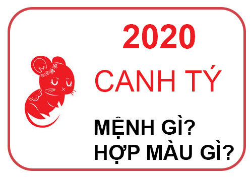 Tuổi 2020 nam canh tý là mệnh gì
