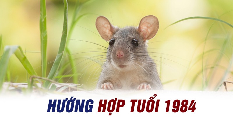 
Tầm quan trọng của chọn hướng trong phong thuỷ với người tuổi Giáp Tý 1984
