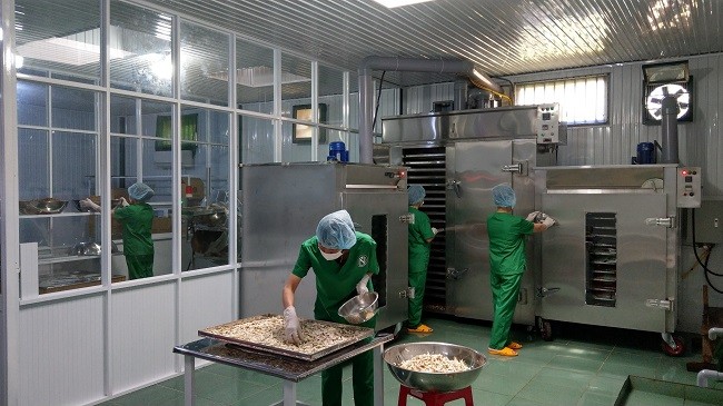 
Xưởng sản xuất trà mãng cầu
