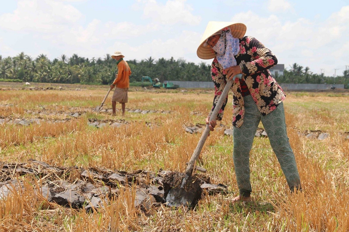 
Chính phủ chấp thuận cho Hà Nội chuyển mục đích sử dụng 39,51 ha đất trồng lúa sang đất phi nông nghiệp để thực hiện Dự án cụm công nghiệp Nam Phúc Thọ - giai đoạn 1.
