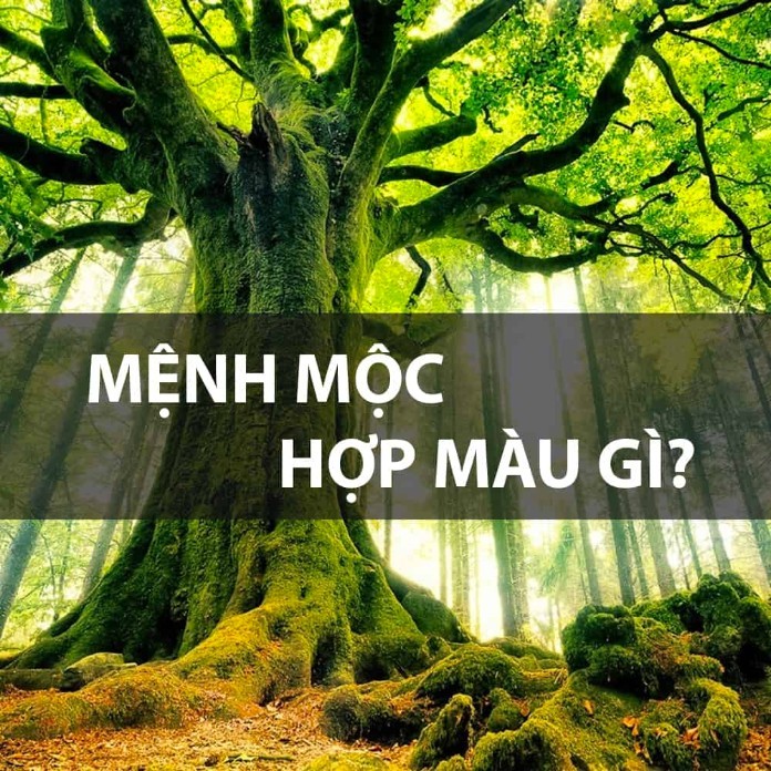 



Mệnh Bình Địa Mộc hợp với màu đen và xanh nước biển thuộc hành Thủy


