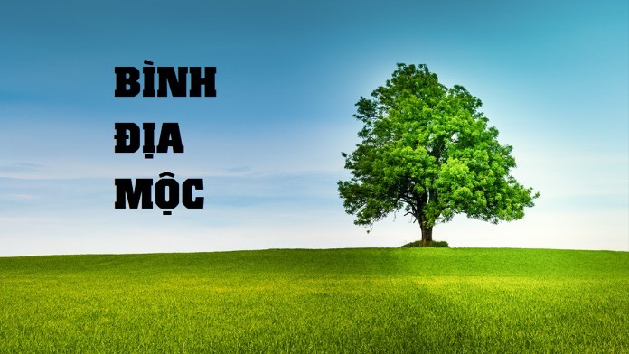 



Người mệnh Mộc nên xác định tuổi, mệnh hợp với mình

