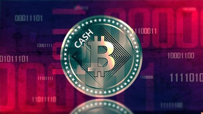 
Bitcoin Cash (BCH)

