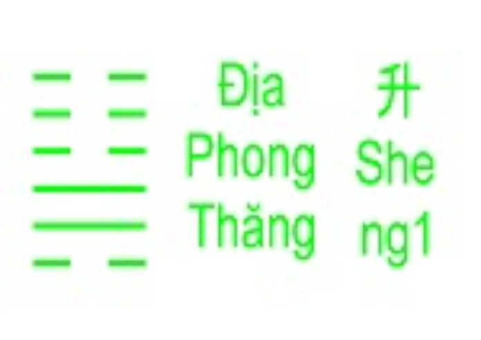 


Đường quan lộc của người dụng quẻ cực kỳ rộng mở
