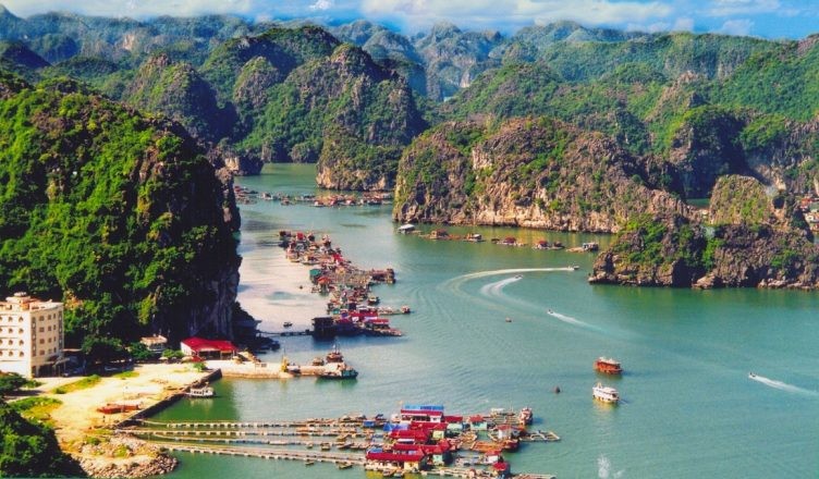 
Hải Phòng bứt tốc phát triển du lịch&nbsp;
