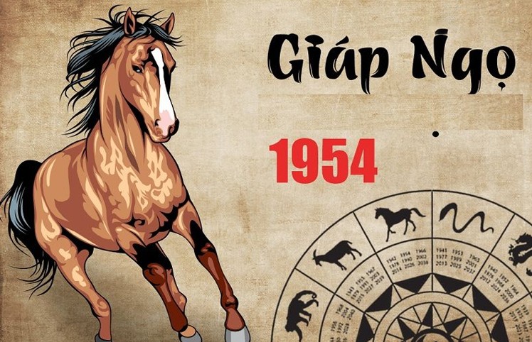 
Tuổi Giáp Ngọ 1954 mua xe màu gì?
