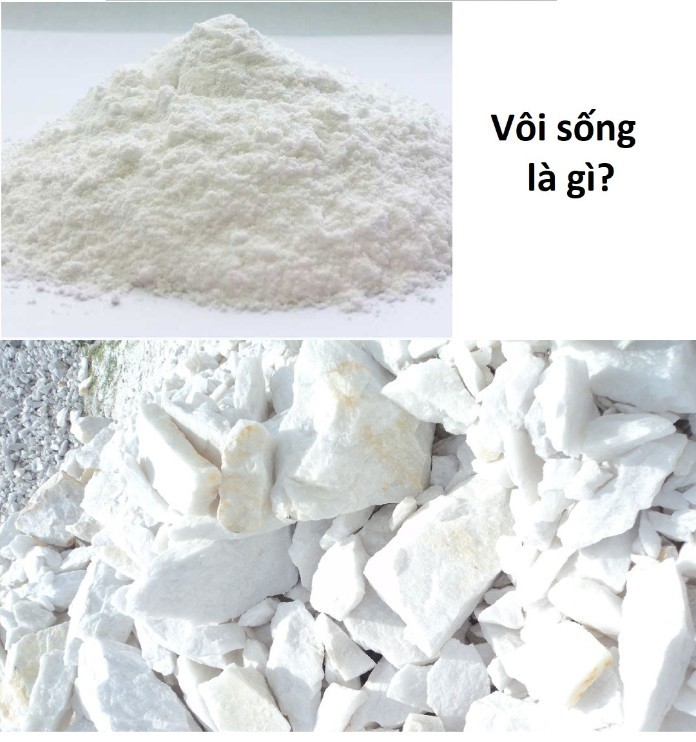 



Bột đá vôi là gì ?

