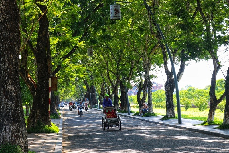 
Con đường rợp bóng cây xanh sẽ “xoa dịu” đi thời tiết nóng nực và mang đến làn khí trong lành, xanh mát, xây dựng mỹ quan đô thị
