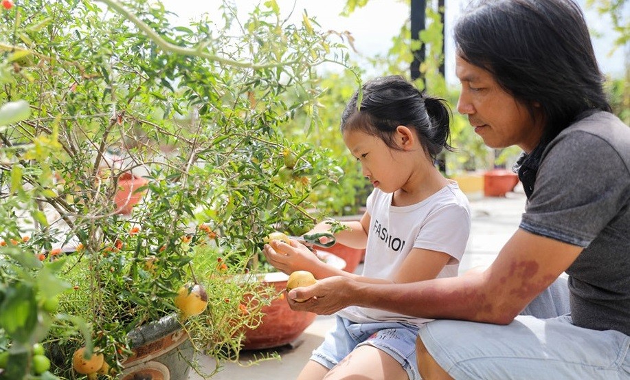 
Anh Hòa hướng dẫn cô con gái trồng lựu trong chậu. Trong vườn có nhiều cây trái cho quả thường xuyên như ổi, táo, siro, ớt…
