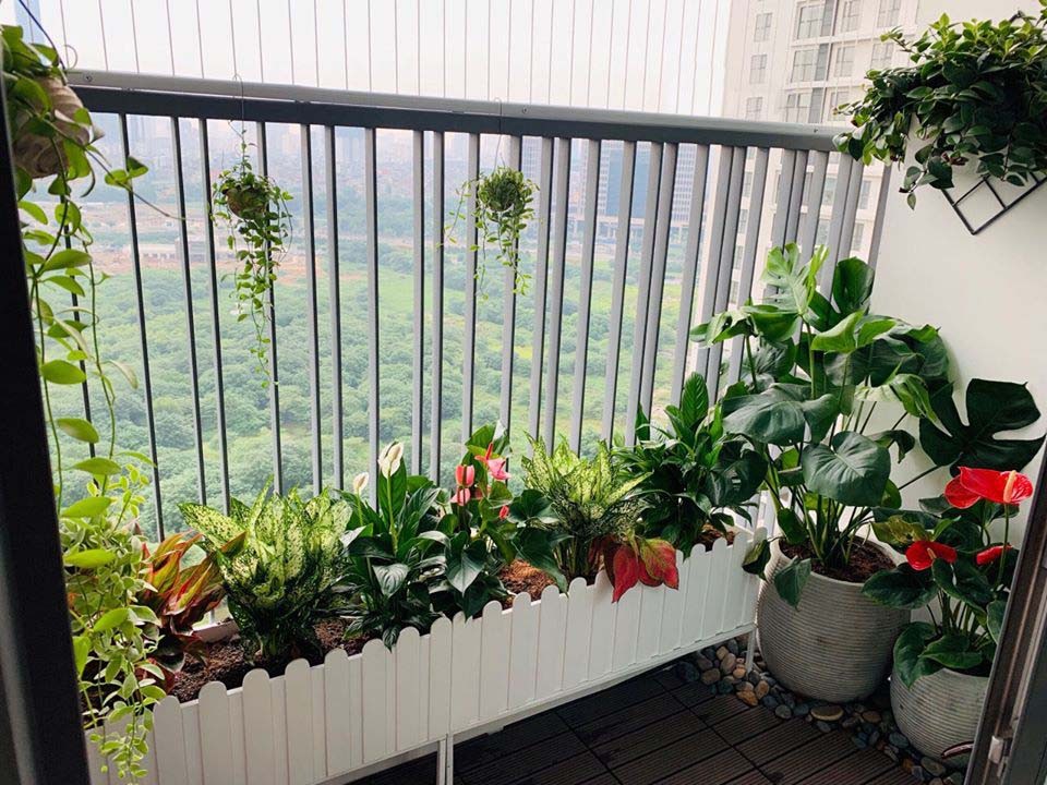 
Cây ở ban công cũng góp phần giúp căn nhà của bạn tránh được khói bụi
