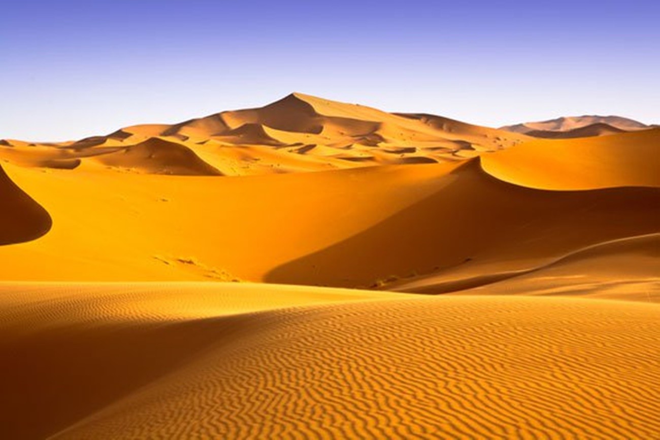 


Lượng kiềm trong cát sa mạc khá cao
