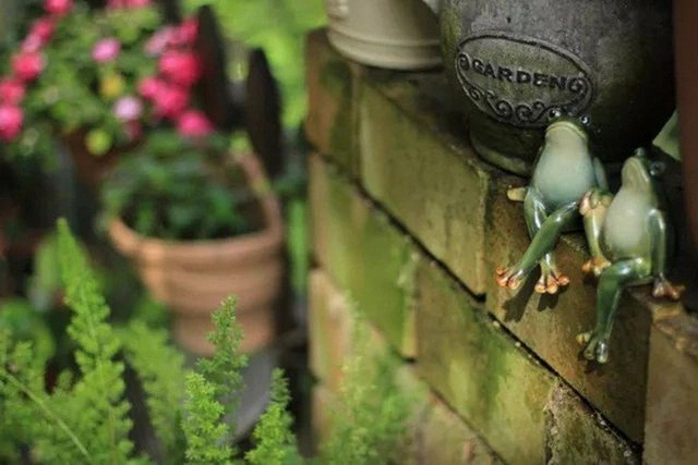 
Một cặp ếch bằng gốm góp phần tô đẹp cho khu vườn, mang đến cảm giác tự nhiên, gần gũi
