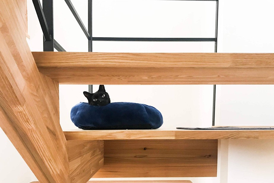 
Chú mèo cưng của hai vợ chồng gia chủ yêu thích chiếc cầu thang gỗ
