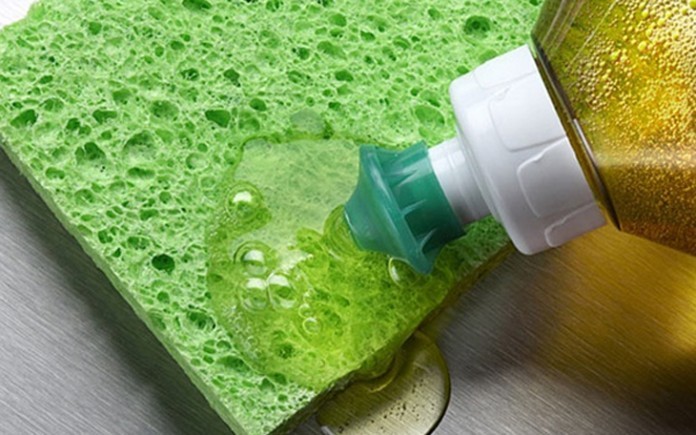 



Dùng dung dịch xà phòng rửa bát đậm đặc để tiêu diệt mối

