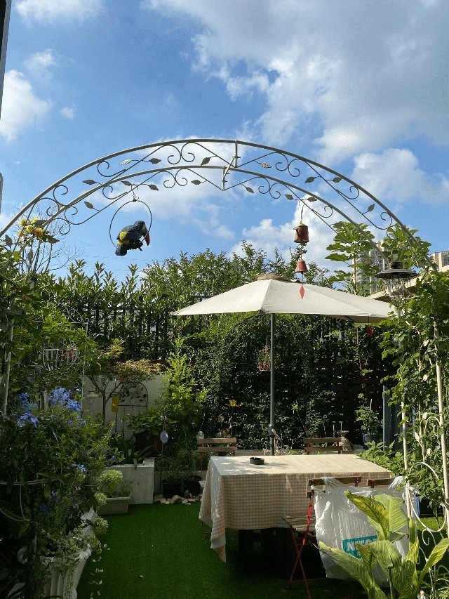 
Khu vườn sau nhà của vợ chồng chị Bạch được cải tạo với chi phí 200 triệu
