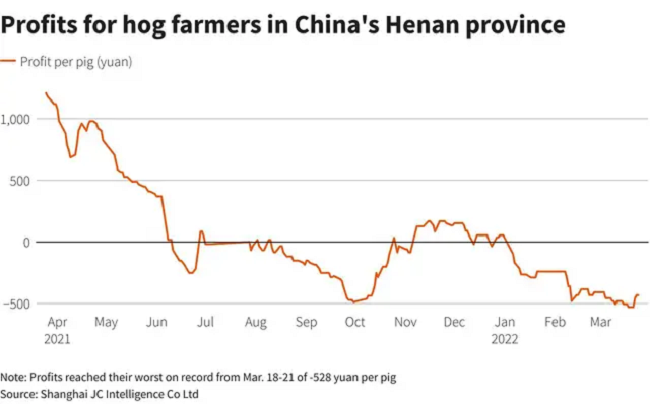 

Chi phí nuôi lợn ở tỉnh Hà Nam (Trung Quốc)

