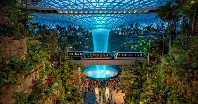 
Sân bay Changi thu hút du khách với thác nước trong nhà và khu vườn xanh tươi. Ảnh: The Travel
