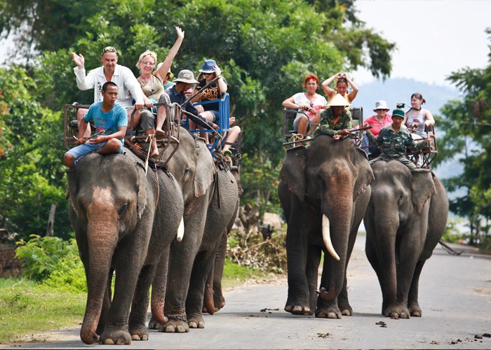 
Khách du lịch quốc tế tham gia hoạt động cưỡi voi khi đến Tây Nguyên
