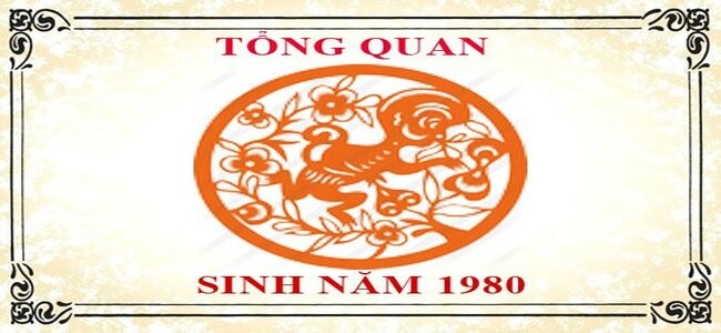 
Thông tin người sinh năm 1980 (Nguồn Internet)
