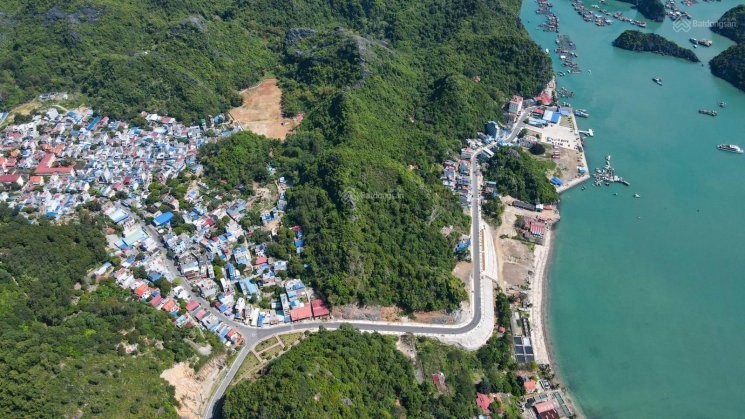 
Cát Bà là đảo có diện tích lớn thứ 3 của Việt Nam, nhưng quỹ đất ở tại đảo khá hạn chế do chủ yếu là diện tích rừng
