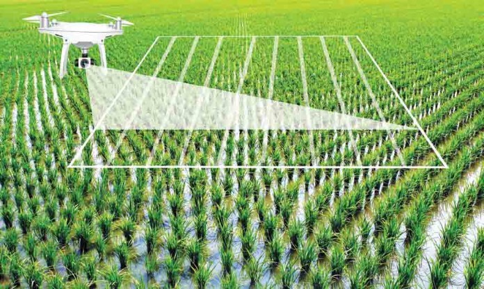 Đưa chuyển đổi số trong quản trị doanh nghiệp lên mức độ ưu tiên hàng đầu 