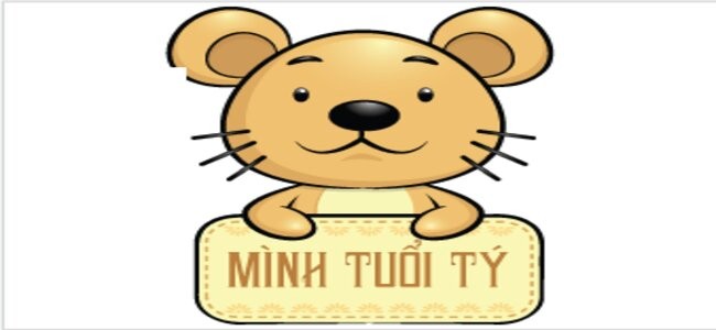 )
Thông tin về người sinh năm 1996 (Nguồn Internet)
