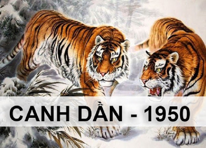 
Tổng quan tử vi tuổi 1950 nữ mạng Canh Dần
