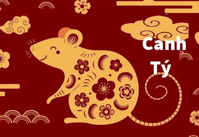 Tuổi 1960 nữ mạng Canh Tý thuộc mệnh Thổ, cụ thể là Bích Thượng Thổ