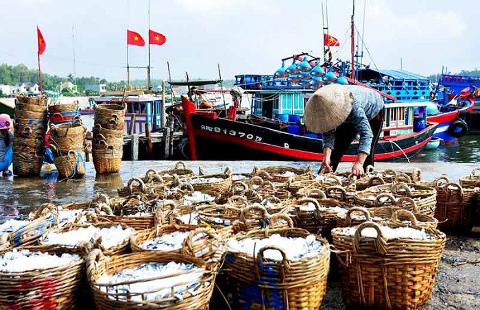 
Chợ cá khiến khu vực Tam Tiến trở nên nhộn nhịp hơn
