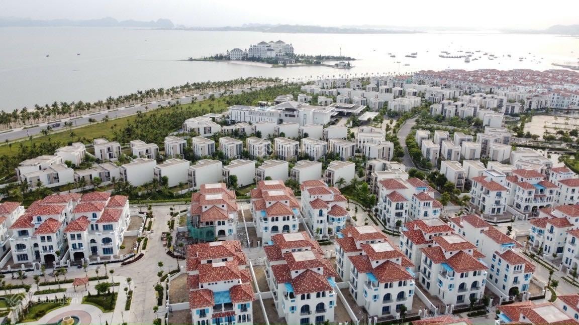 
Tại thành phố Hạ Long hiện đang có rất nhiều dự án với các biệt thự view biển hoặc gần biển, phân khúc dành cho những nhà đầu tư có tiềm lực tài chính tốt
