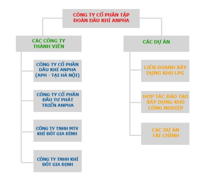 Sơ đồ tổ chức của Công ty Cổ phần Tập Đoàn Dầu khí An Pha
