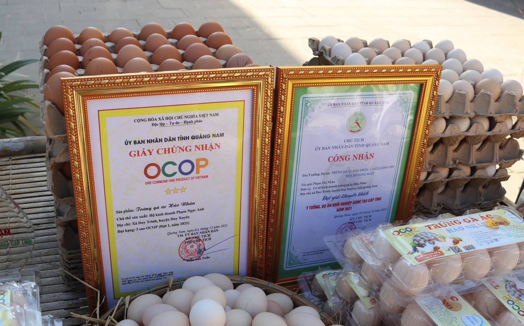 

Hiện nay, nguồn thu chính của trang trại chị Nhân chính là từ trứng gà ác, trung bình mỗi ngày sẽ thu hơn 2.000 quả, giá bán sẽ dao động từ 28.000-30.000 đồng/10 quả trứng
