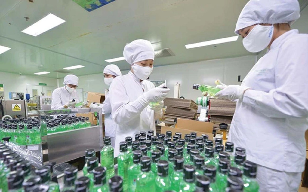 

Ngoài lĩnh vực đông dược tạo nên thương hiệu của Traphaco thì công ty cũng đang dần dịch chuyển việc kinh doanh sang lĩnh vực tân dược thông qua việc hợp tác với cổ đông chiến lược Hàn Quốc là Daewoong Pharma
