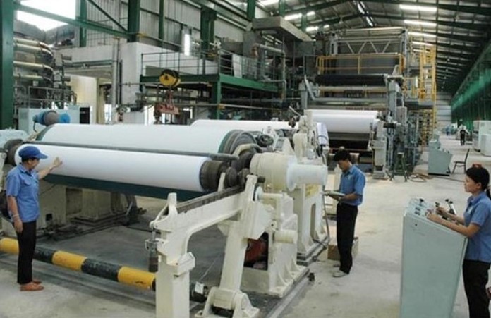 Công ty kinh doanh ở các ngành nghề liên quan đến giấy, cây trồng