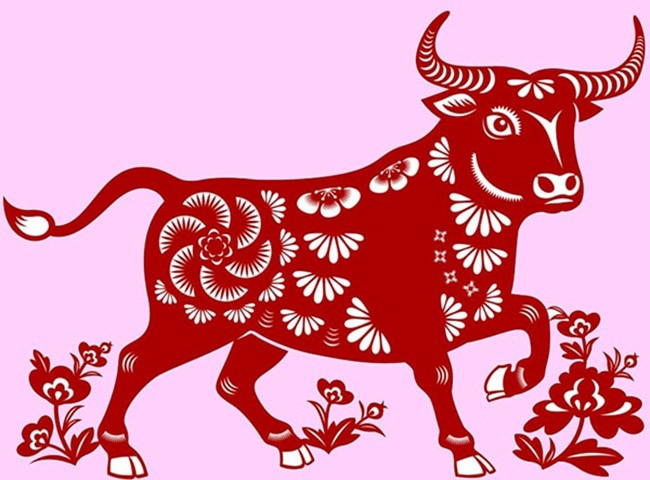 
Gia chủ tuổi 1985 năm sinh âm lịch là Ất Sửu, tuổi con Trâu
