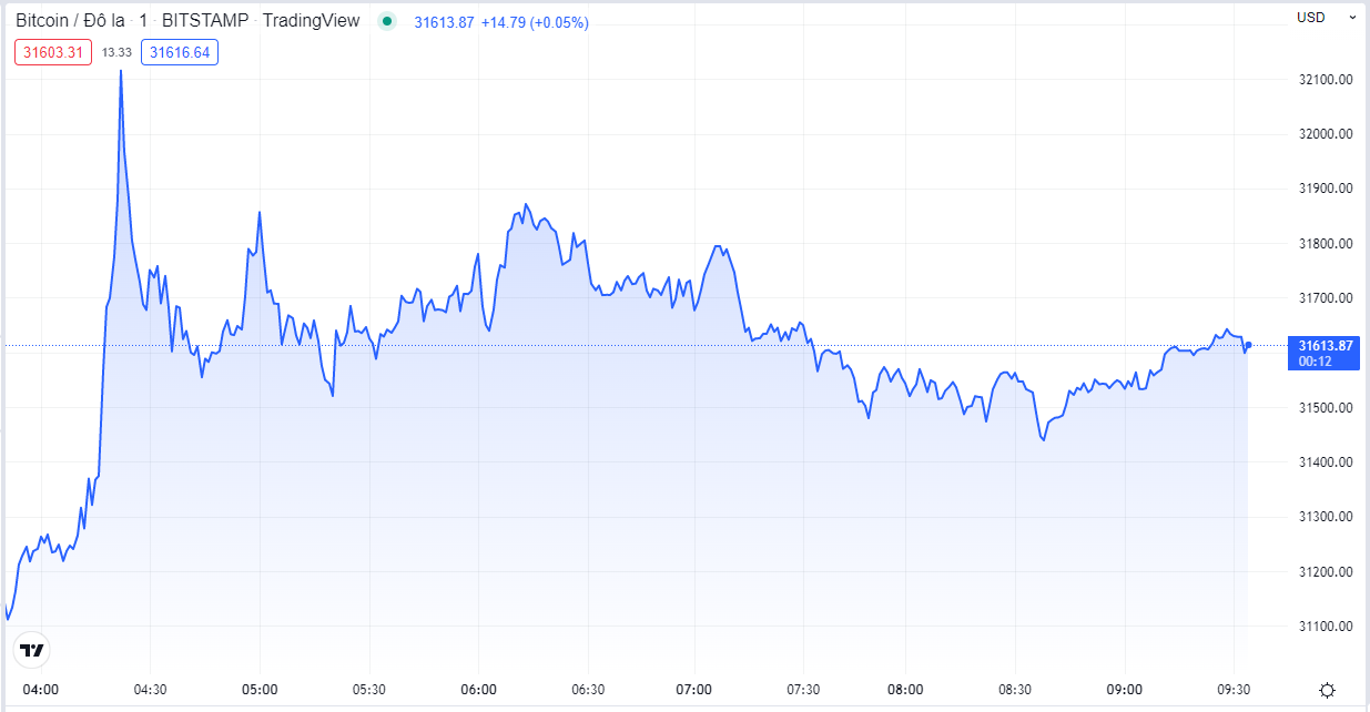 
Giá Bitcoin hôm nay cập nhật lúc 9h35'. Nguồn TradingView
