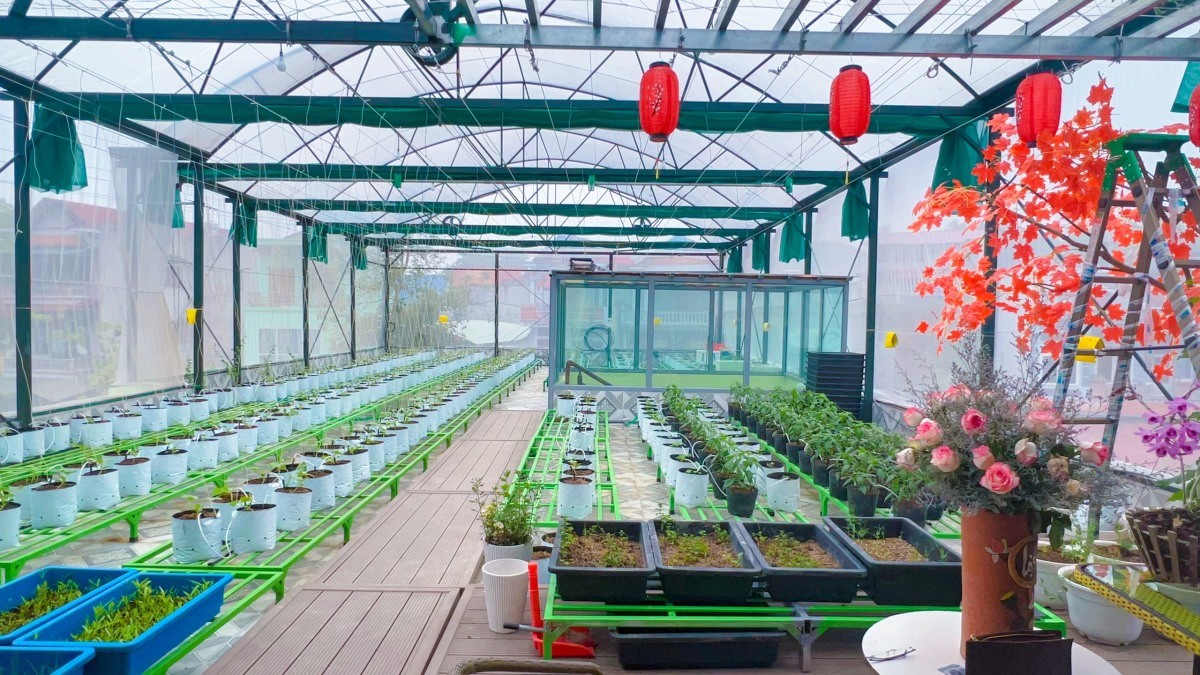 
Gia chủ đã bố trí những trang thiết bị hiện đại cho hệ thống vườn trên sân thượng, giúp việc chăm sóc cây trồng dễ dàng hơn
