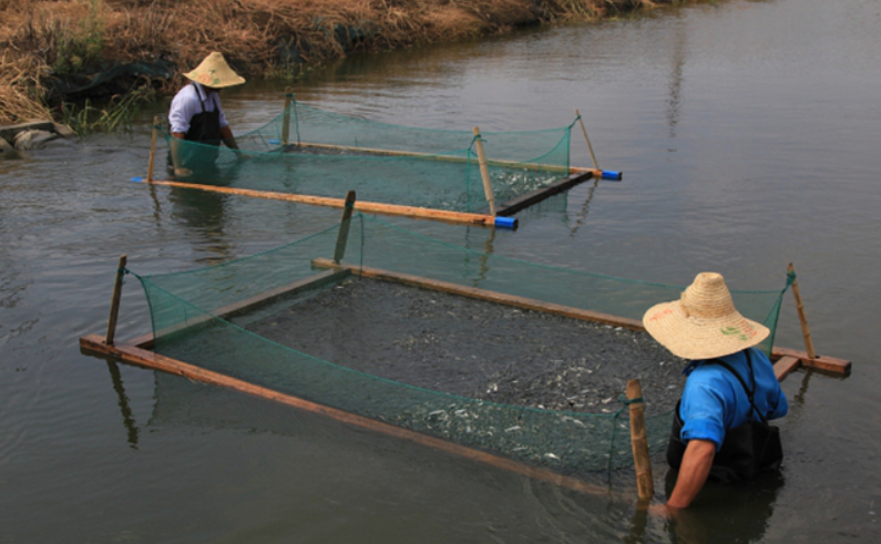 
Câu nói của ông lão khiến Tống Tác Văn như bừng tỉnh khỏi cơn mê. Ảnh minh họa
