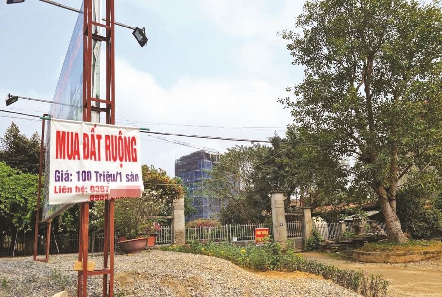 Đất đai liên tục lên cơn sốt do nhu cầu đầu tư cao