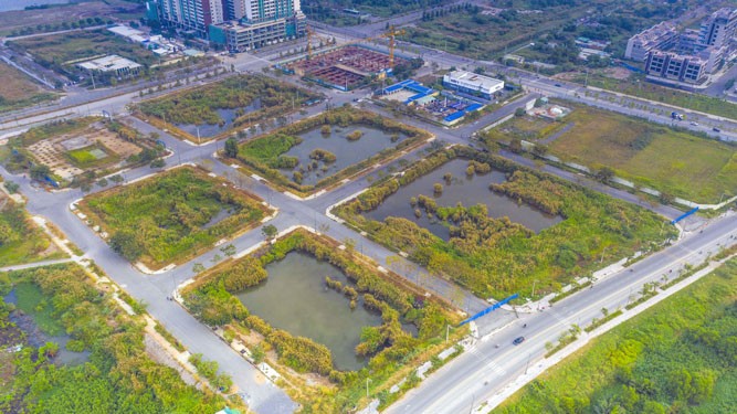 HoREA kiến nghị các giải pháp tạo môi trường kinh doanh bất động sản minh bạch, công bằng.