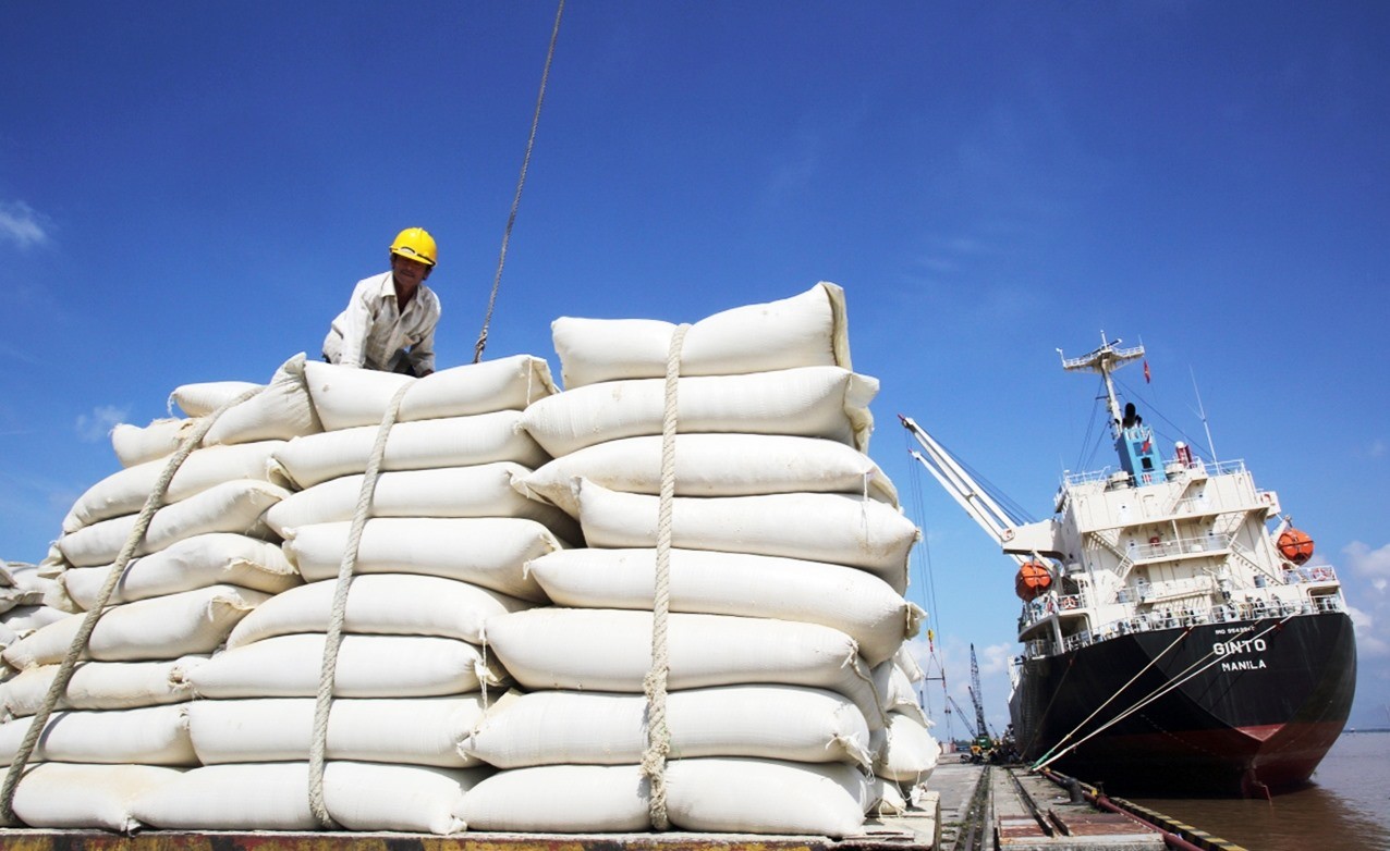 Gạo Việt có "cửa sáng" khi Hiệp định thương mại tự do Việt Nam – Châu Âu (EVFTA) được ký kết