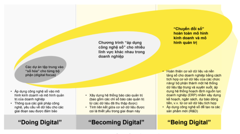 
Ba cấp độ chuyển đổi số tròn doanh nghiệp là gì?
