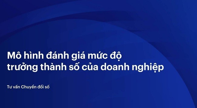 
6 mức độ chuyển đổi doanh nghiệp&nbsp;
