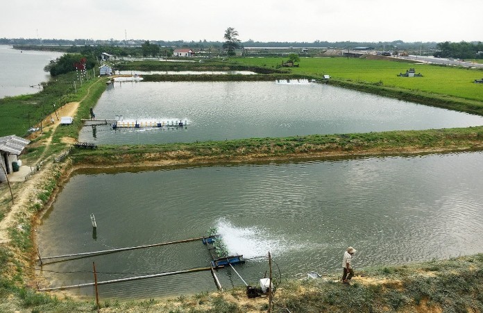 Mekong đảm bảo sản phẩm đạt tiêu chuẩn an toàn vệ sinh với nguồn nguyên liệu chất lượng cao