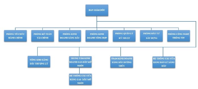 
Mô hình tổ chức của công ty
